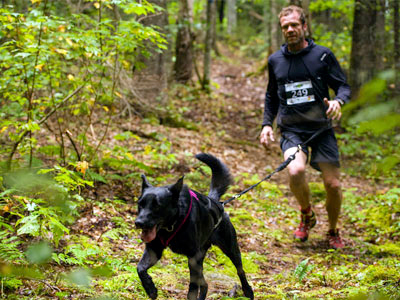 entraîneur de canicross Magog