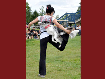 Nos élèves en action! Freestyle Canin