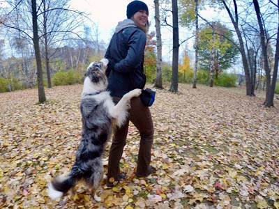 freestyle canin en plein-air