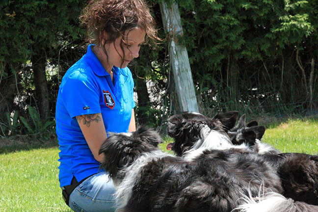 Histoire du centre: Karyne Millette maître chien