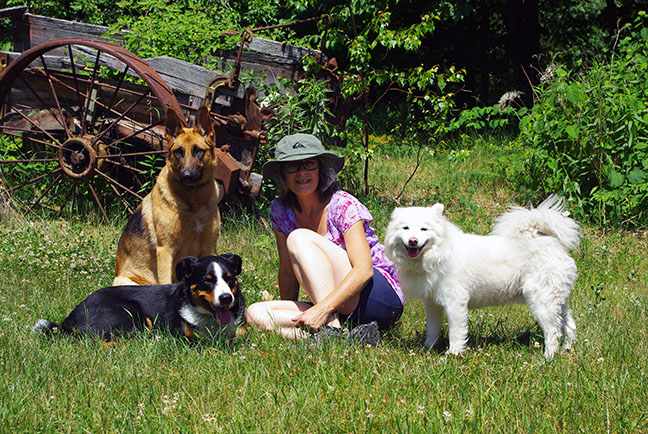 Service de pension pour chiens en Montérégie