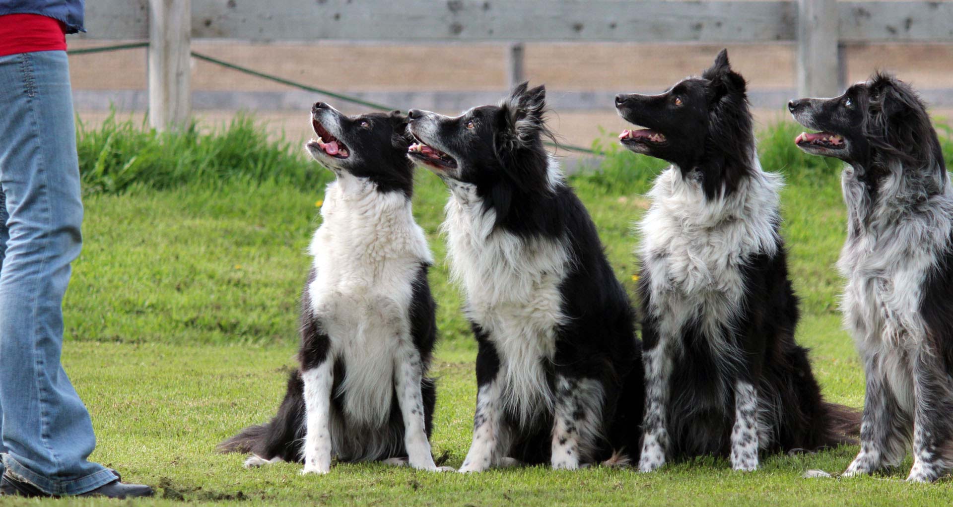 QU'EST-CE QUE LE LEADERSHIP ? 